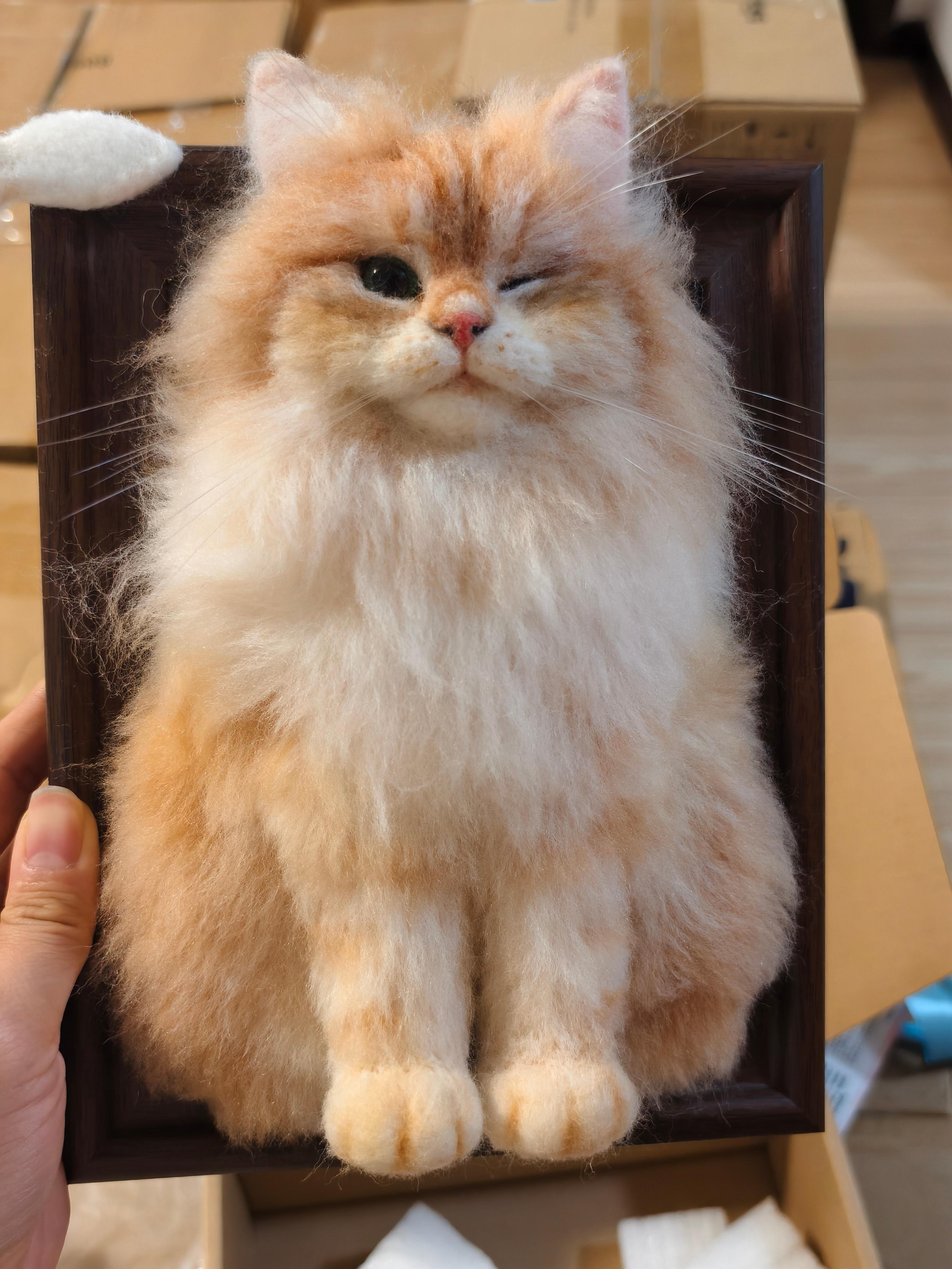 Customized wool felt