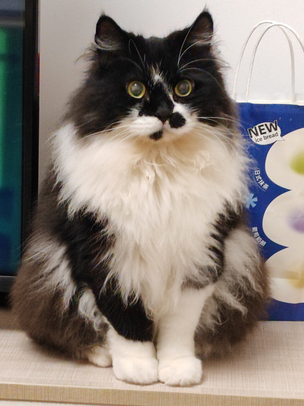 Customized wool felt